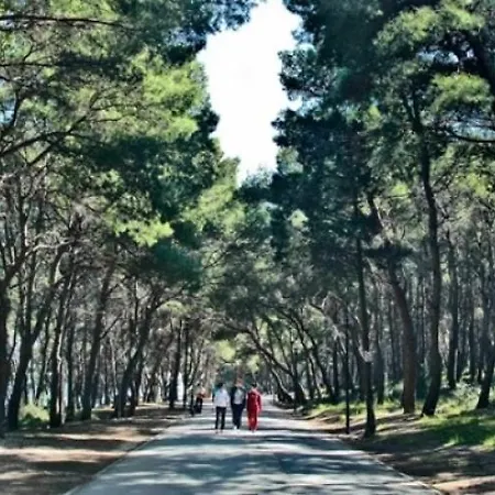 Apartment *split Center * *